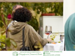Festival Mar de Tethys 2026 - Bodega Vetas